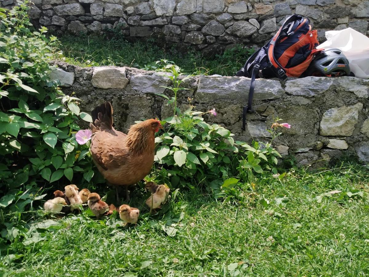 Guesthouse Shtini Fshat Dış mekan fotoğraf